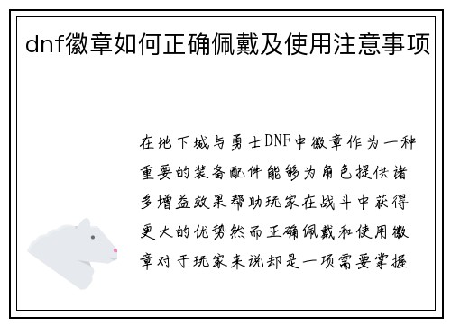 dnf徽章如何正确佩戴及使用注意事项